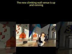 Tự chỉnh tường leo ngoài trời An toàn cao cho công viên giải trí