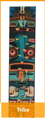 High Durability Multi Colored Fun Climbing Wall For School Club